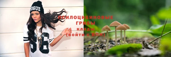 ECSTASY Беломорск