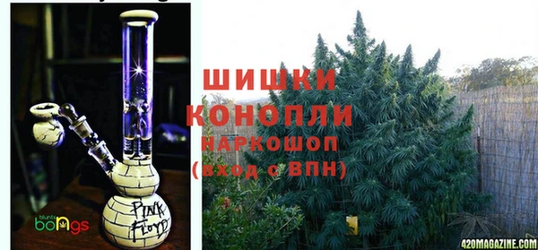 дурь Белоозёрский