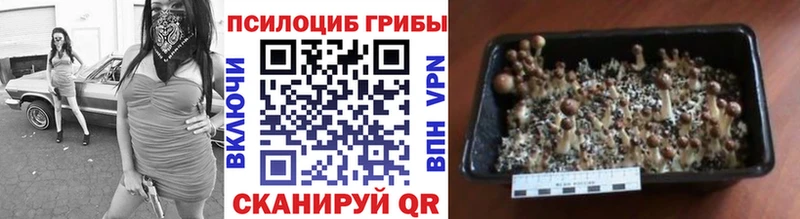 Галлюциногенные грибы ЛСД  Барабинск 